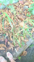 Tania__honey webcam model stream image