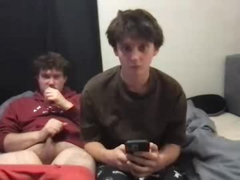 d_dart webcam model stream image