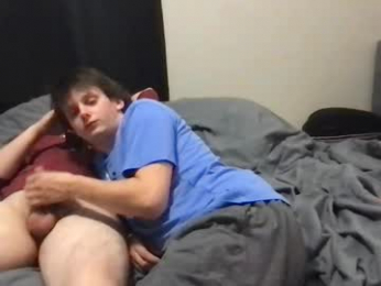 d_dart webcam model stream image