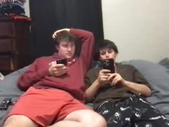 d_dart webcam model stream image