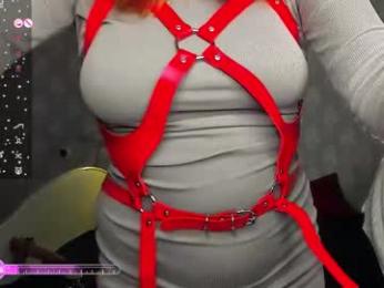 mary_yolo webcam model stream image