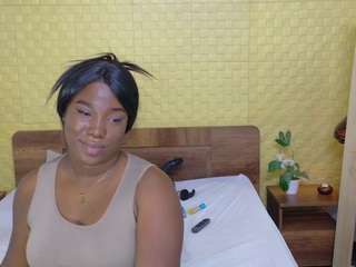 naomhy webcam model stream image