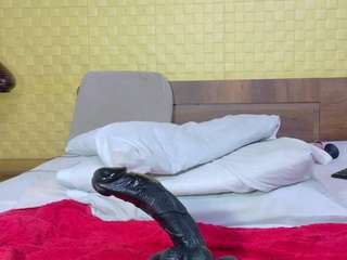 naomhy webcam model stream image