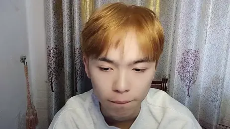 w5206t webcam model stream image