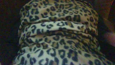 sexyladyp webcam model stream image