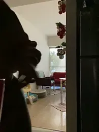 Effyvice13 webcam model stream image