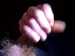 thetortuga webcam model stream image