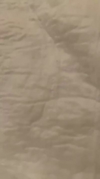 MaiaLaNinfo webcam model stream image