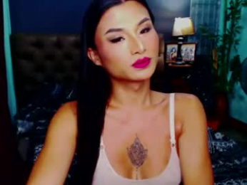 msasianbigcockts webcam model stream image