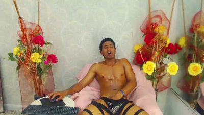 dani_dick_vc webcam model stream image