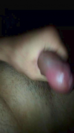 PedritoDePolvo webcam model stream image