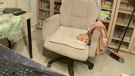 barenfan webcam stripchat model stream image