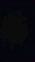 Couple_av webcam model stream image