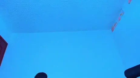 Thomas-Wil webcam model stream image