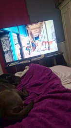 Ismael993 webcam model stream image