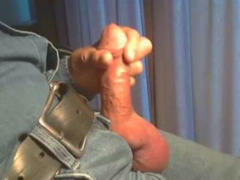 schwaermer3 webcam model stream image