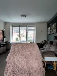 NaomiAndFriends webcam model stream image