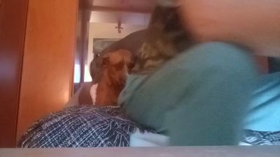 gorka19hot webcam cam4 model stream image