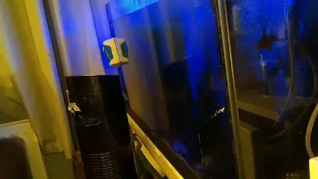 BIG_CHOPPA_747 webcam model stream image