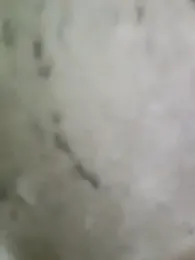 pussyfatasss webcam model stream image