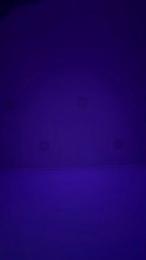 Lisa_Anxx888 webcam model stream image