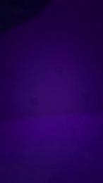 Lisa_Anxx888 webcam model stream image