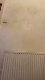 GymBuilt webcam model stream image