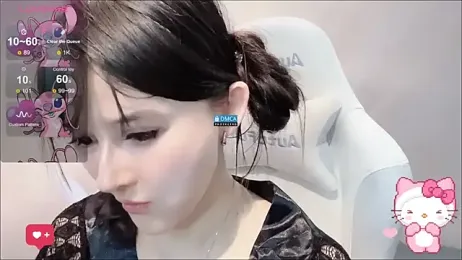 fog- webcam model stream image