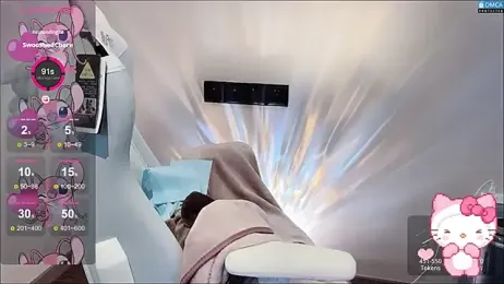 fog- webcam model stream image