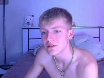 parzeval_16 webcam model stream image