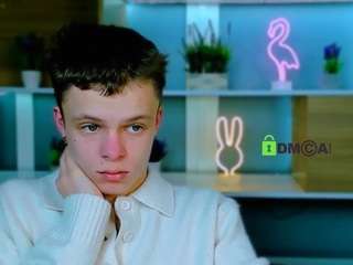 bondi-vv webcam model stream image