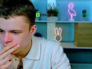 bondi-vv webcam model stream image