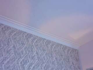 mia-oceann webcam model stream image