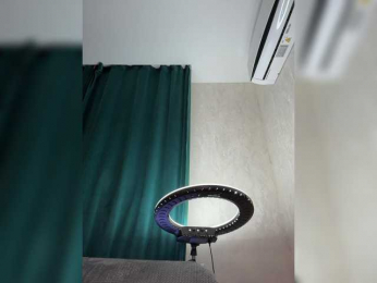 Ellidi webcam model stream image