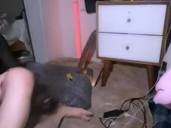 femgirl99 webcam model stream image