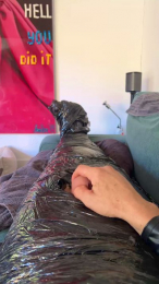 FrankGC2 webcam cam4 model stream image