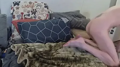 pyrowuff webcam model stream image