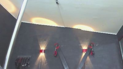 terranze_z webcam model stream image