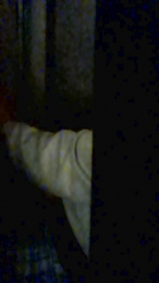 LosAngeles323 webcam model stream image