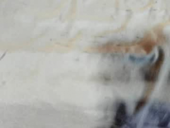 cherrybaabe webcam model stream image