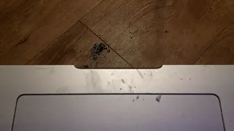 edger4lif3 webcam model stream image