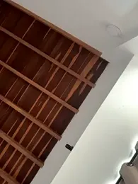 curchez_ webcam model stream image