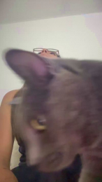 LilyGarcia webcam model stream image