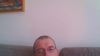00401 webcam model stream image