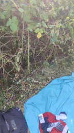 Aazbbz20 webcam model stream image