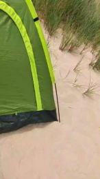 Aazbbz20 webcam model stream image