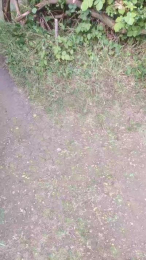 Aazbbz20 webcam model stream image