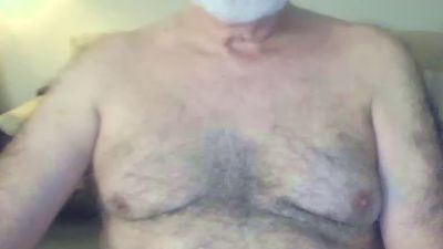 horny60bear webcam model stream image