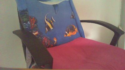 laparki webcam model stream image