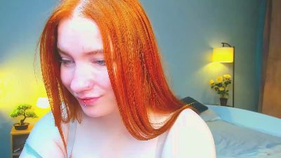 GingerDryer webcam model stream image